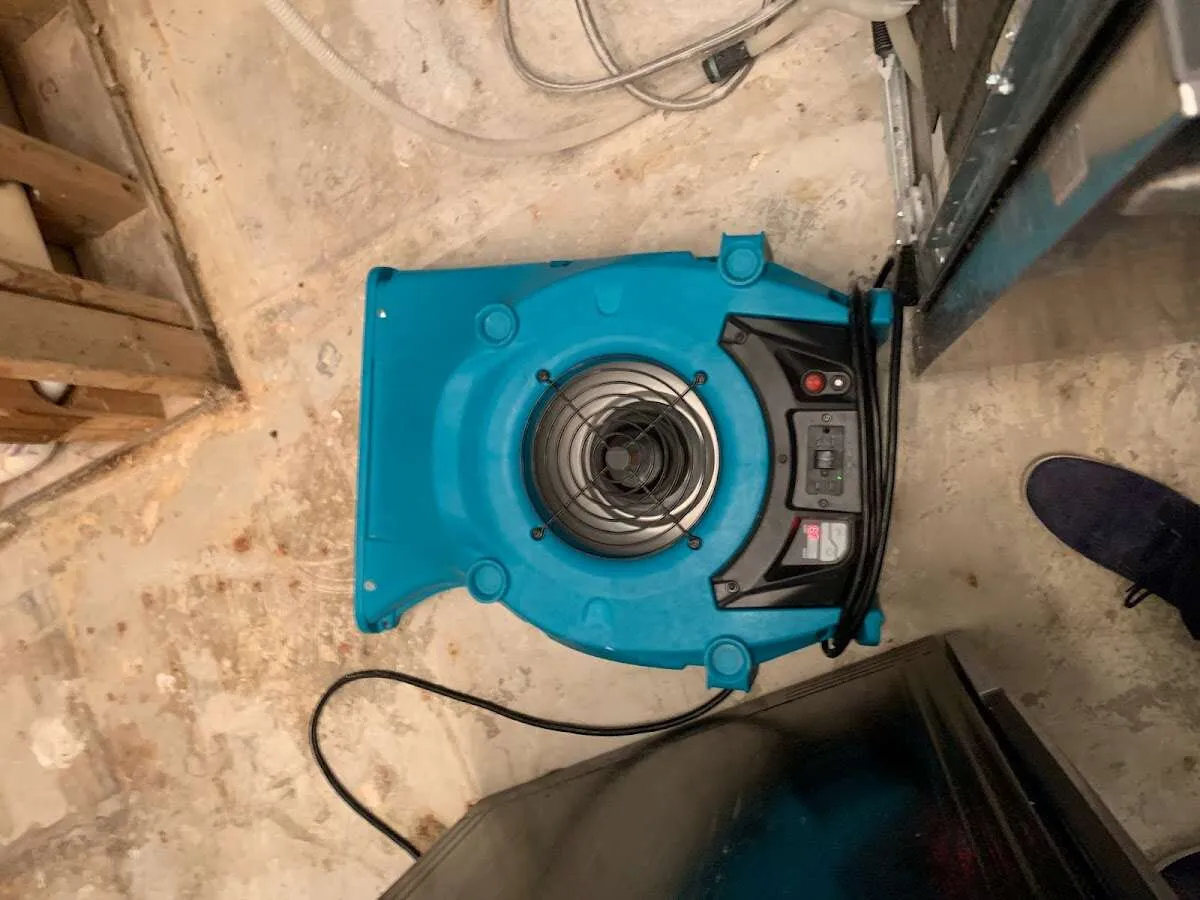 Air mover drying equipment for Mold Remediation & Removal in Novato