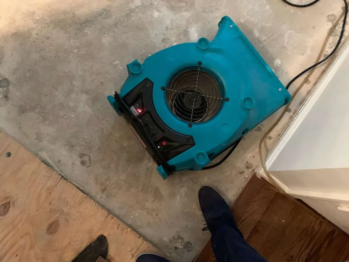 Air mover drying subfloor during Leak Detection & Repair in Novato